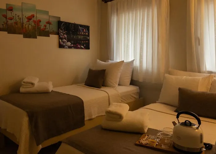 Tarihi Konagi Antikhan