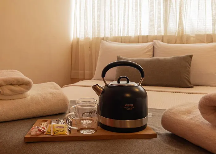 Kwatera prywatna Tarihi Konagi Antikhan *